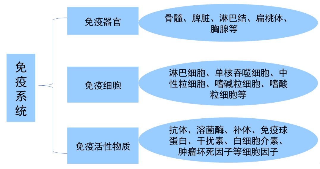 https://mmbiz.qpic.cn/mmbiz_png/JmwVH1DyhFYDyZWGkfuWVsvQPSbNWb2z4IYFzKRiafyFoYMM6aBibicNo6ibwSxicOZF7E21ibd3FpKnhqicw5gzC5qbQ/640?wx_fmt=png&tp=webp&wxfrom=5&wx_lazy=1&wx_co=1