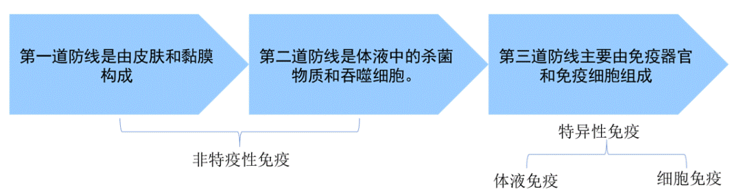 https://mmbiz.qpic.cn/mmbiz_png/JmwVH1DyhFYDyZWGkfuWVsvQPSbNWb2zKPWqIXcic5aV1YRaQqqOqhoXC9ZvK2rCp7mpvJ8OXRKr1Pl1neialyZQ/640?wx_fmt=png&tp=webp&wxfrom=5&wx_lazy=1&wx_co=1
